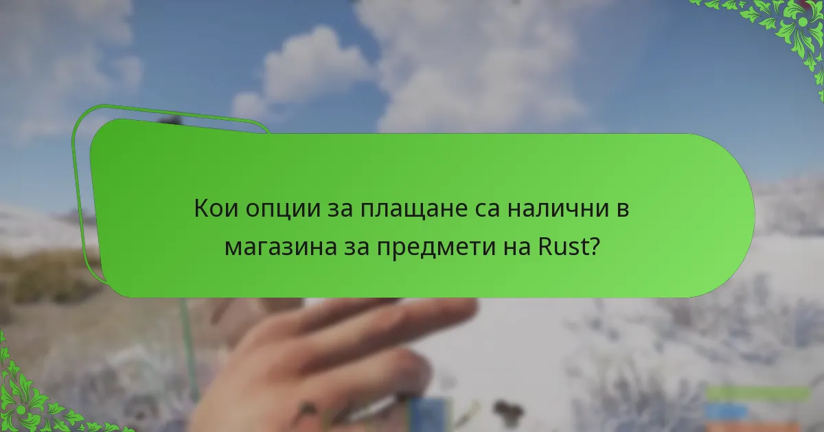 Кои опции за плащане са налични в магазина за предмети на Rust?